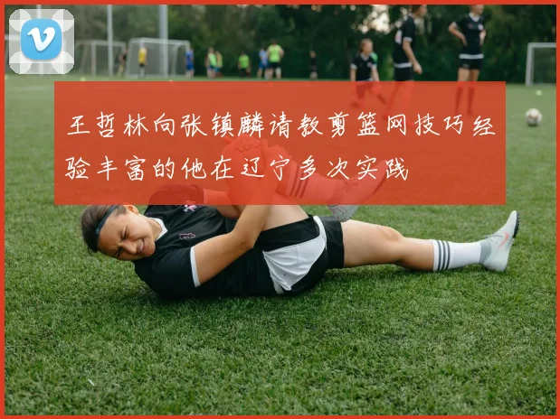 王哲林向张镇麟请教剪篮网技巧经验丰富的他在辽宁多次实践