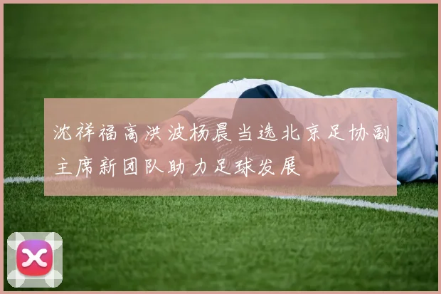 沈祥福高洪波杨晨当选北京足协副主席新团队助力足球发展